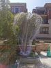 Orchard Anti-Bird Nylon Net for Cherry & Jaboticaba Trees - Sky Grape Protection