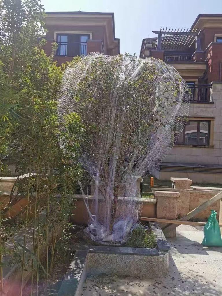 Orchard Anti-Bird Nylon Net for Cherry & Jaboticaba Trees - Sky Grape Protection