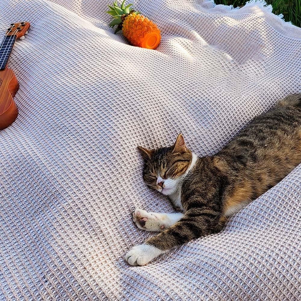 Large Size Tablecloth with Tassel Linen Camping Ground Cloth  Parent-child Activity