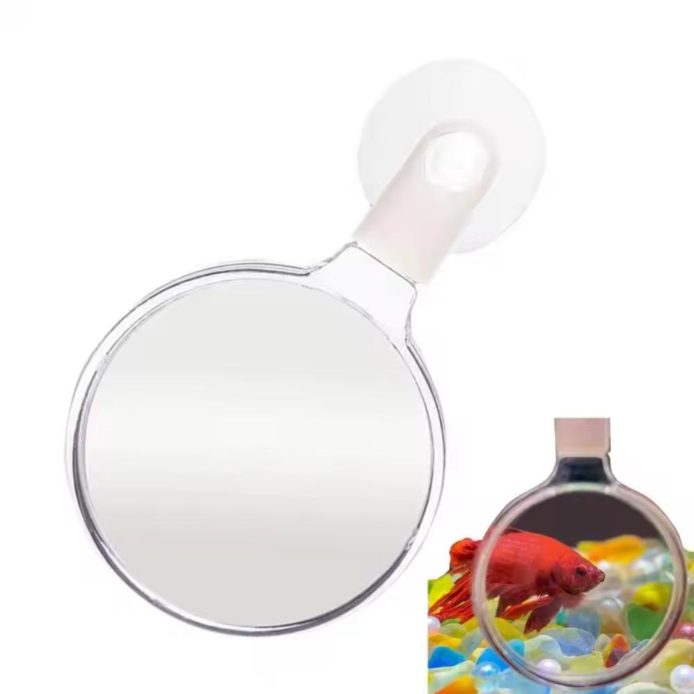 

3pcs with Suction Cup Fish Tank Viewer Animal Observation Glass Small Animal Plant Observation 3pcs
