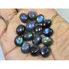 10X12MM Natural Labradorite Blue Fire Oval Cabochon Loose Gemstone 15Pcs Lot C-1056