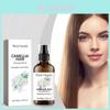 West Month Camellia Hair Nourishing Oil For Dry Frizz Control And Silky Smoothness 40ml