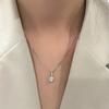 Exquisite Women's Diamond Pendant Clavicle Necklace – Autumn/Winter Simple Luxury Design
