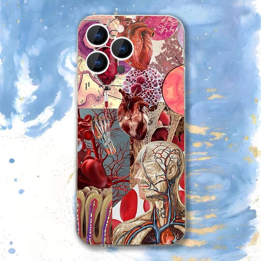 Medical Human A-Anatomy Clear Phone case suitable for iPhone 11 12 13 14 15 16 17 Pro Max Plus X XS XR SE E Mini Protective Case