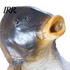 Unique Prank Gift for Adults Funny Fish Head Mask, Realistic Latex Carp Cosplay Prop, Animal Interactive Live Broadcast Mask Party Prank, Trick