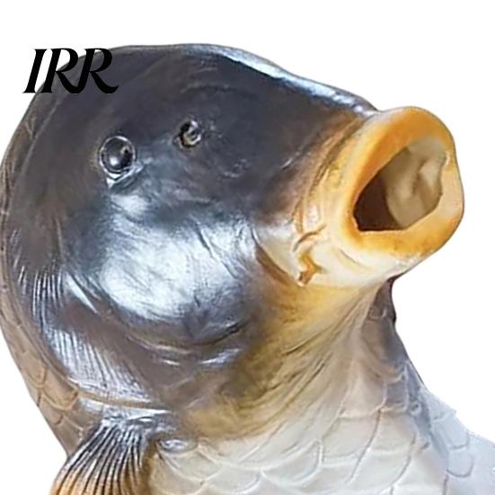 Unique Prank Gift for Adults Funny Fish Head Mask, Realistic Latex Carp Cosplay Prop, Animal Interactive Live Broadcast Mask Party Prank, Trick