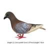 Realistische Taubenstatue Künstliche Vogelfigur Miniatur Nachbildung Taube für Innen Hochzeitsregal Dekor