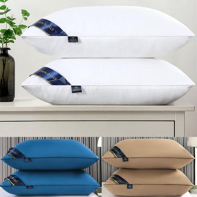 Düz renk 48*74 2 ADET uyku Yastıkları ev yatak odası için Doldurulmuş 5 yıldızlı otel geri sıçrama yumuşak rahat yatak yetişkin uyku yastığı