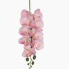 5pc Artificial Phalaenopsis Orchid 9 Heads Soft Latex Butterfly Orchid Flower Branch for Wedding Floral Decoration