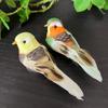6/5pcs Garden Landscape Decor Simulation Birds Photography Props with Clip Foam Feathers Birds Colorful Home Decor