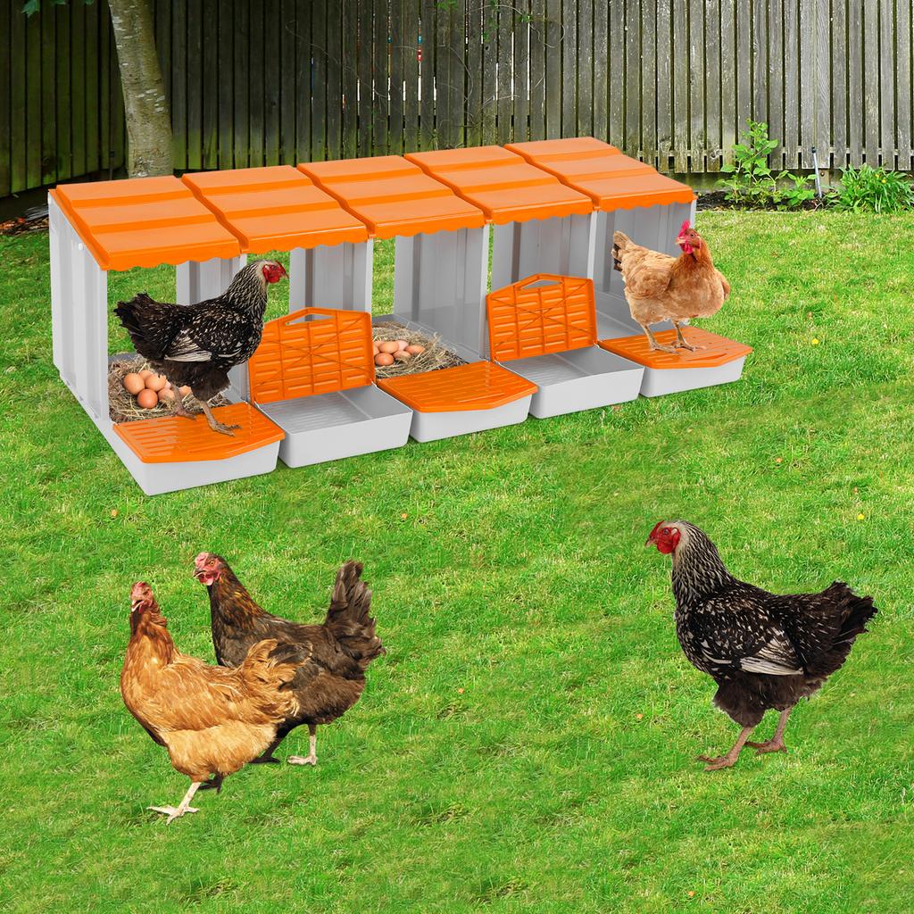5-Compartment Chicken Nesting Box, Laying Hen Nest for Egg Collection, Durable PP Material,Farm & Coop Use, Poultry Supplies