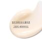 Kollagen Grüner Tee Ceramid Elastizität Barrierecreme 50ml + Nachfüllpackung 50ml