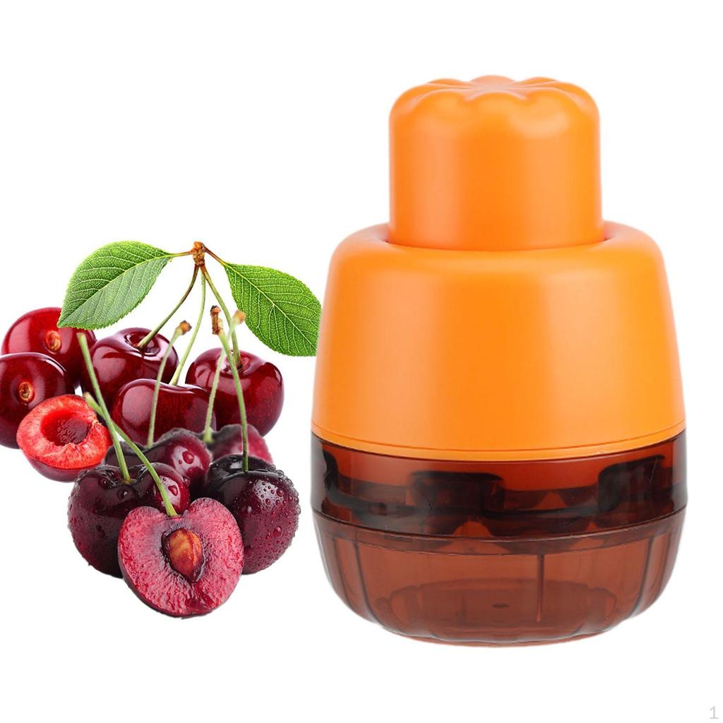 Cherry ter Making Cherries 7 Holes Multi Remover for Kitchen