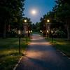 Solar Flame Torch Light With 12 Led For Garden And Patio Outdoor Decor
