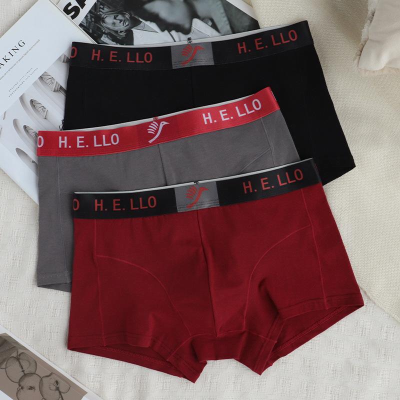 Cotton Boxer Men Underwear Hot New Boxershort Mens Boxers Man Cuecas Masculina Size L-3XL