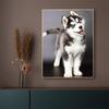 5D DIY Diamond Painting Animal Husky Picture Full Diamond Embroidery Rhinestone Mosaic Cross Stitch Kit Furniture Decoration