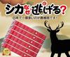 Why Do Deer Run Set of 6 Deer Repellents for and Ezo Deer Bird and Animal Pest Deer Deer Pest Control Away? Deer, Serow, - Control, Repellent,