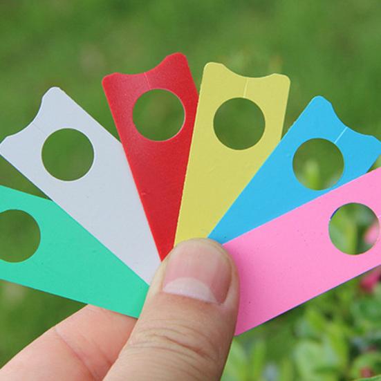 200st Druvetiketter Melon Frukt Taggar Skylt Orchard Plant Marker Trädgårdsdekoration Yousheng