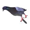 Farm Figurine Pigeon Card Install Outdoor Package Content Garden Pigeon Acrylic Farm Themed Decoration Realistic Appearance Card
