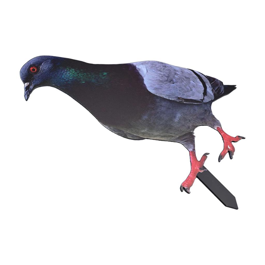 Farm Figurine Pigeon Card Install Outdoor Package Content Garden Pigeon Acrylic Farm Themed Decoration Realistic Appearance Card
