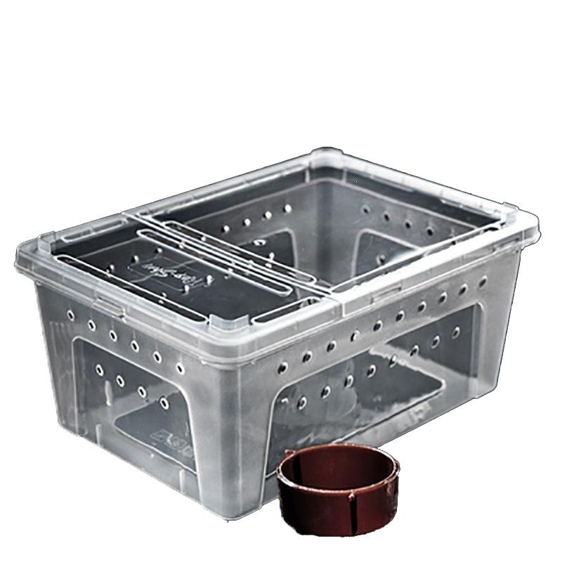 Large Reptile & Amphibian Terrarium with Hide for Snails, Spiders, Geckos, Frogs, and Turtles