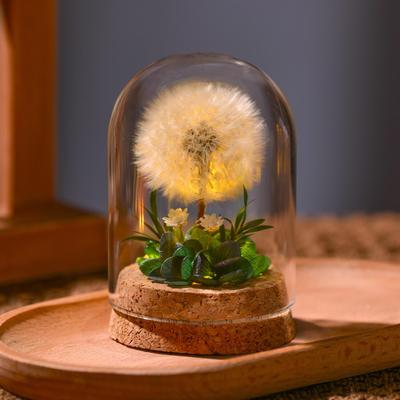 Valentine's Day Dandelion Night Light with Preserved Flowers and Glass Cover - Perfect Gift for Classmate's Girlfriend or Birthday