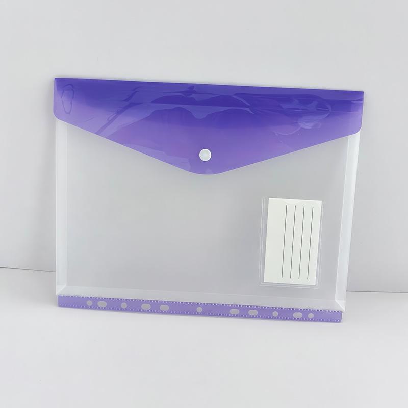 Rainbow 11-Hole A4 Snap File Bag: Transparent 3D Design, PP Plastic