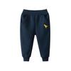 Autumn 2024 Korean-Style Fleece Sports Pants for Boys: Children's Long Pants