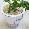 Self Watering Flower Pot Plastic Planters With Drainage Hole & Clear Saucer Hydroponic Plant Pots Lazy Flowerpot Home Decoration