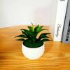 Indica Artificial Sinocrassula Potted Plant Succulent Plant For Decor Home
