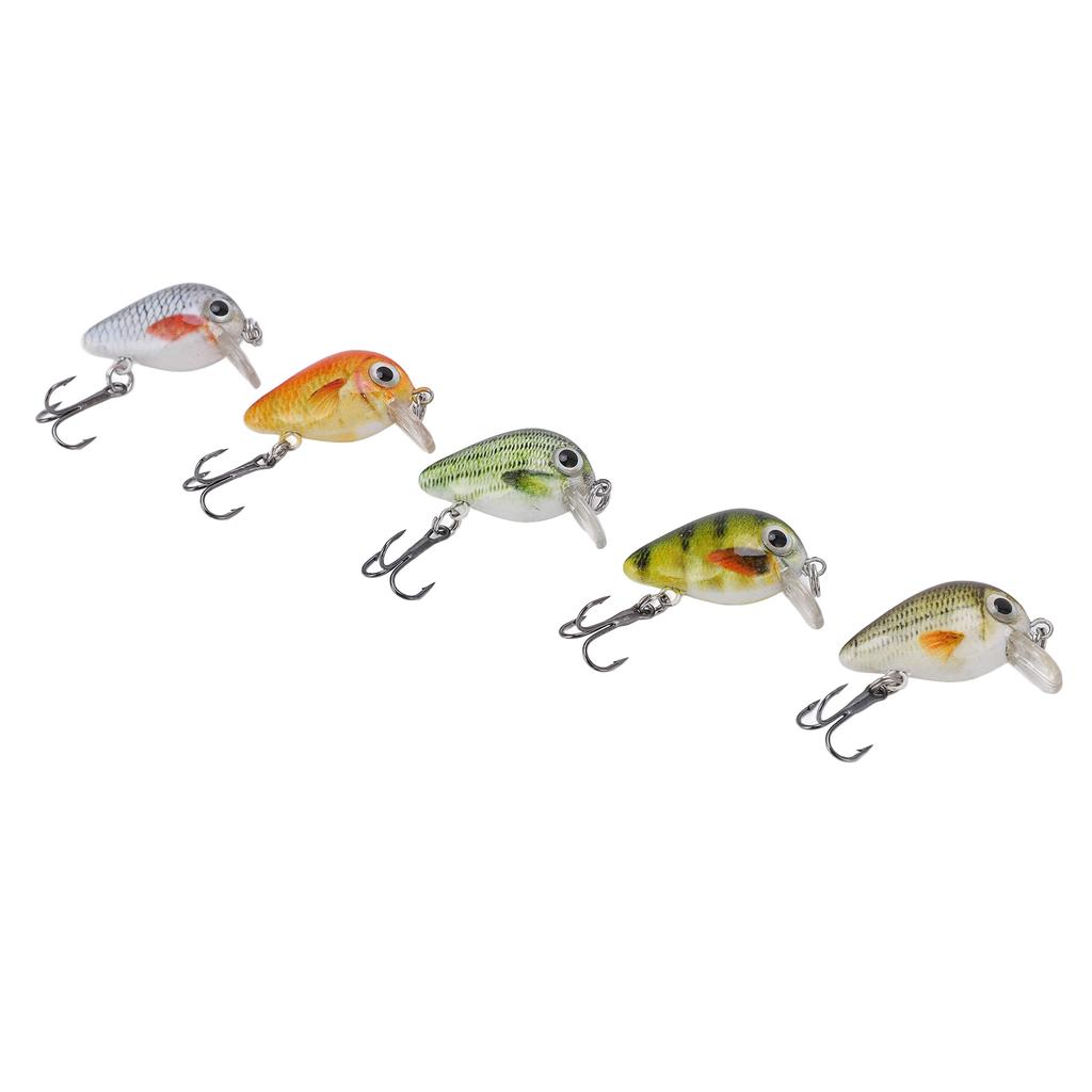 5 Pcs Mini Fishing Lures Crankbait Realistic Fishing Hard Baits Kit with Box for Sea Water and Fresh WaterType 3