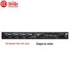 HuiDu YA-4820 Professional Wireless Microphone Feedback Suppressor (CN Version)