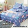 Soft and Skin-friendly Single Print Duvet Cover & Brushed Bed Sheet - 1.5 Meter