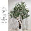 Olive Tree Potted Plant - Indoor Decor Simulation for Living Room