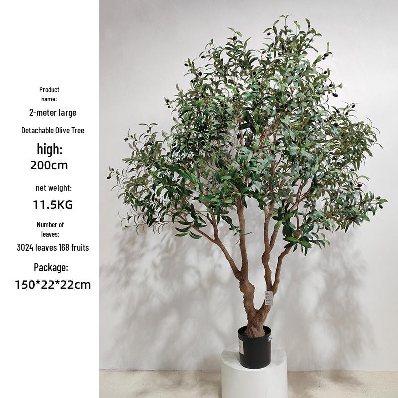 Olive Tree Potted Plant - Indoor Decor Simulation for Living Room