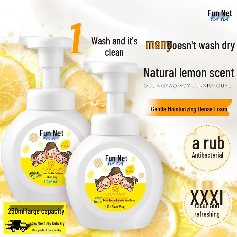 Lion Foaming Anti-Bacterial Hand Wash