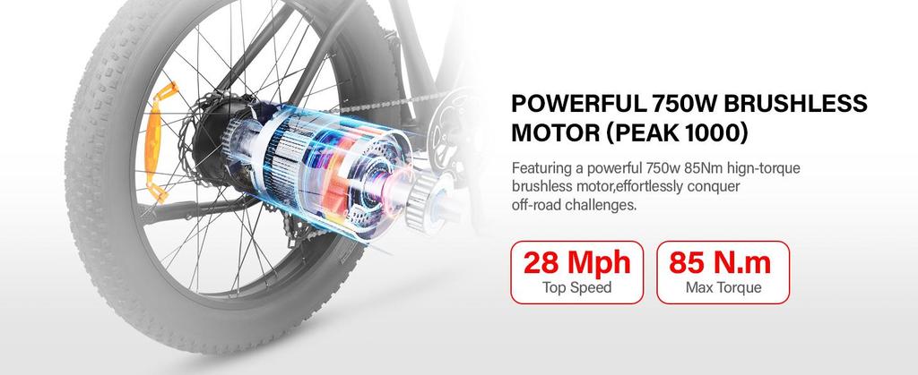 DYU KING 750 Electric Bike – 110km Range, 750W Motor, 26x4.0 Fat Tires – All-Terrain Aluminum E-Bike