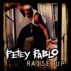 

12inch Record PETEY PABLO - Raise Up 01241428761 Jive 2001 US Rap & Hip-Hop/R&B Used
