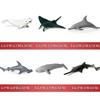 Megalodon Great White Marine Animal Plastic Model Birthday Realistic Interior Decor Shark, Shark, Animal, Fish, Set, 11PCS, Kit, Model, Present, Gift,