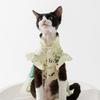 National style printing panda couple clothes spring and summer cat clothes blue cat kitten hairless cat puppy pet clothes