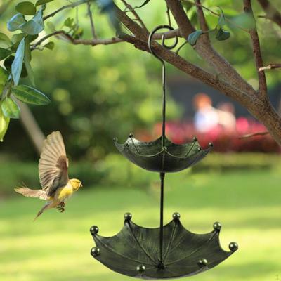 Pájaros – Alimentación y suministros de riego
