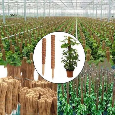 1PC Plant Climbing Coir Totem Pole Safe Gardening Coconut Stick For Climbing Plants Vines And Creepers Plant Support