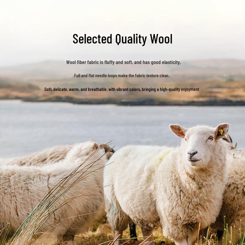 U.S. POLO ASSN. Men's Pure Wool Turtleneck Sweater