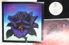 LP Deska THIN LIZZY - Black Rose / A Rock Legend BSK3338 WARNER BROS 1979 US Rock Použité