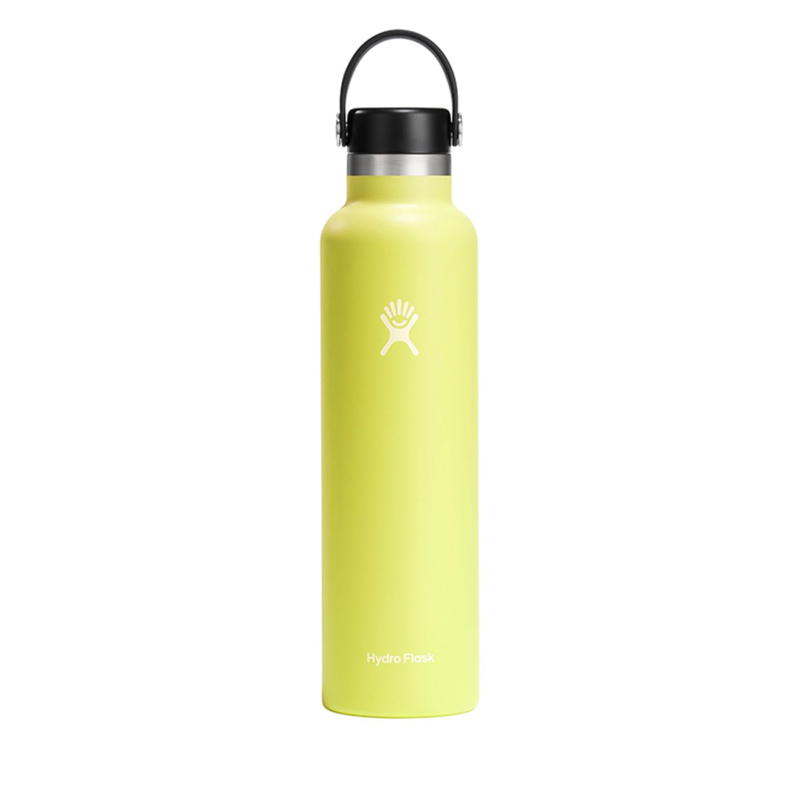 

Hydro Flask Hydration 24oz Standard Mouse Cactus (709ml)