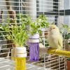 Water-Storage Parrot Hydroponic Plant Preserver Hanging Vegetable Water Feeder  Budgie Cage