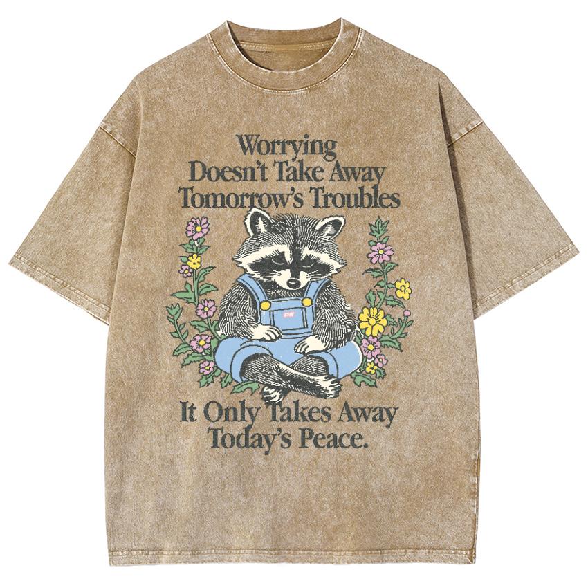 Cartoon Cute Raccoon Print Ladies Wash T-Shirt Cotton Oversized Loose Tees Unisex Design Short Sleeve Summer