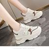Factory direct sales female dad shoes female, autumn and winter new ins trendy casual platform casual sports women's shoes