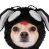 Noise Protection Pet Fly Hat Warm Cats Cosplay Costume Fashion Pet Headgear  Party