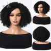 ALAN EATON Women's Kinky Curly Wigs for Black Women Black/Dark Brown Synthetic Wigs Heat Resistant Daily Party